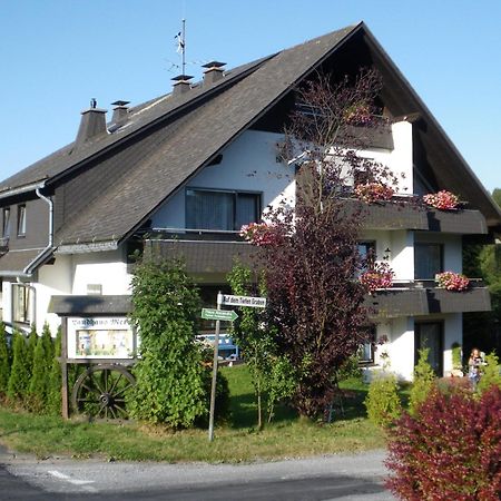 Ferienwohnungen Landhaus Meran Inkl Meinecardplus Willingen  Exteriér fotografie
