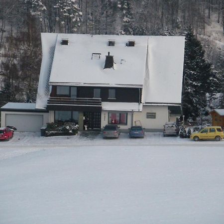 Ferienwohnungen Landhaus Meran Inkl Meinecardplus Willingen  Exteriér fotografie
