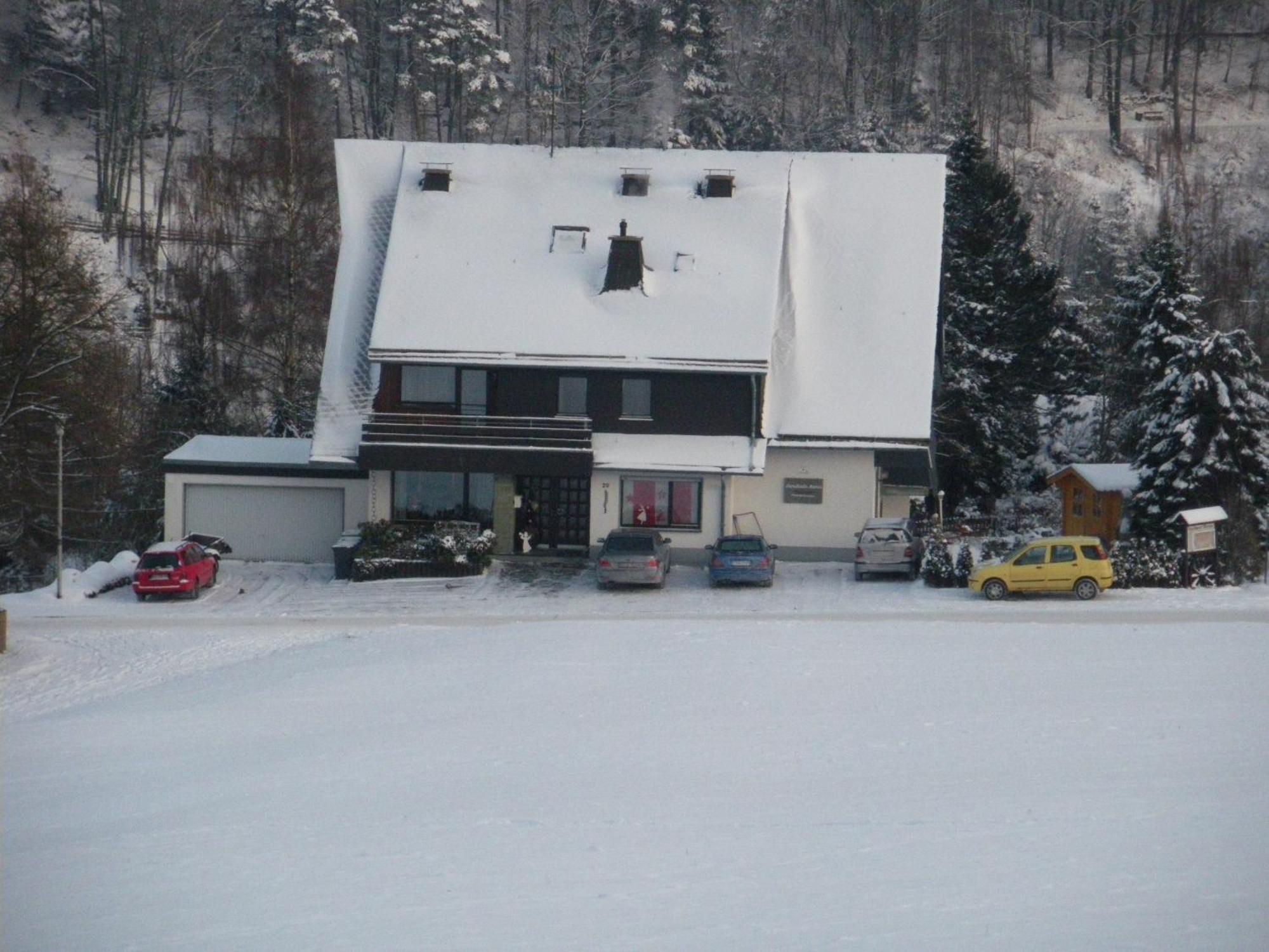 Ferienwohnungen Landhaus Meran Inkl Meinecardplus Willingen  Exteriér fotografie