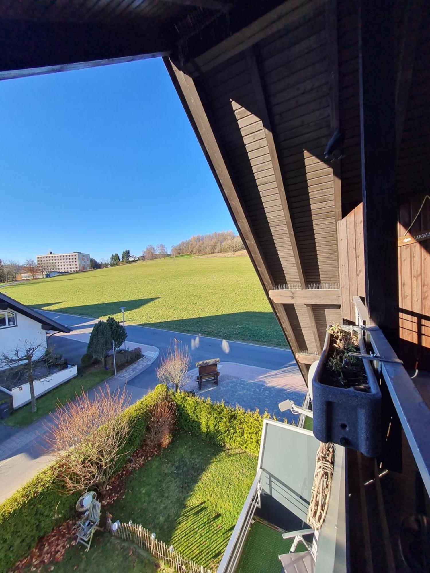 Ferienwohnungen Landhaus Meran Inkl Meinecardplus Willingen  Exteriér fotografie