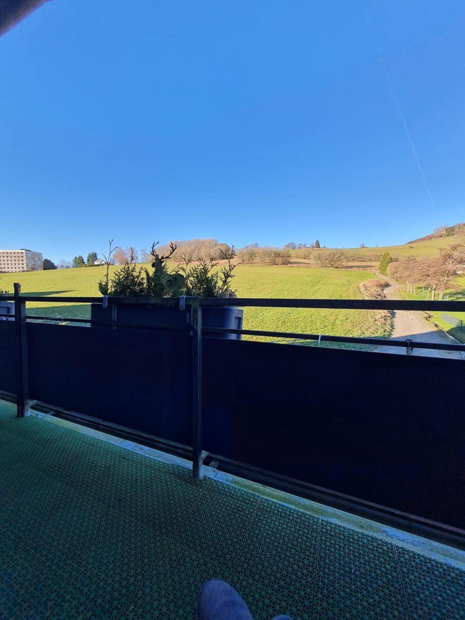 Ferienwohnungen Landhaus Meran Inkl Meinecardplus Willingen  Exteriér fotografie