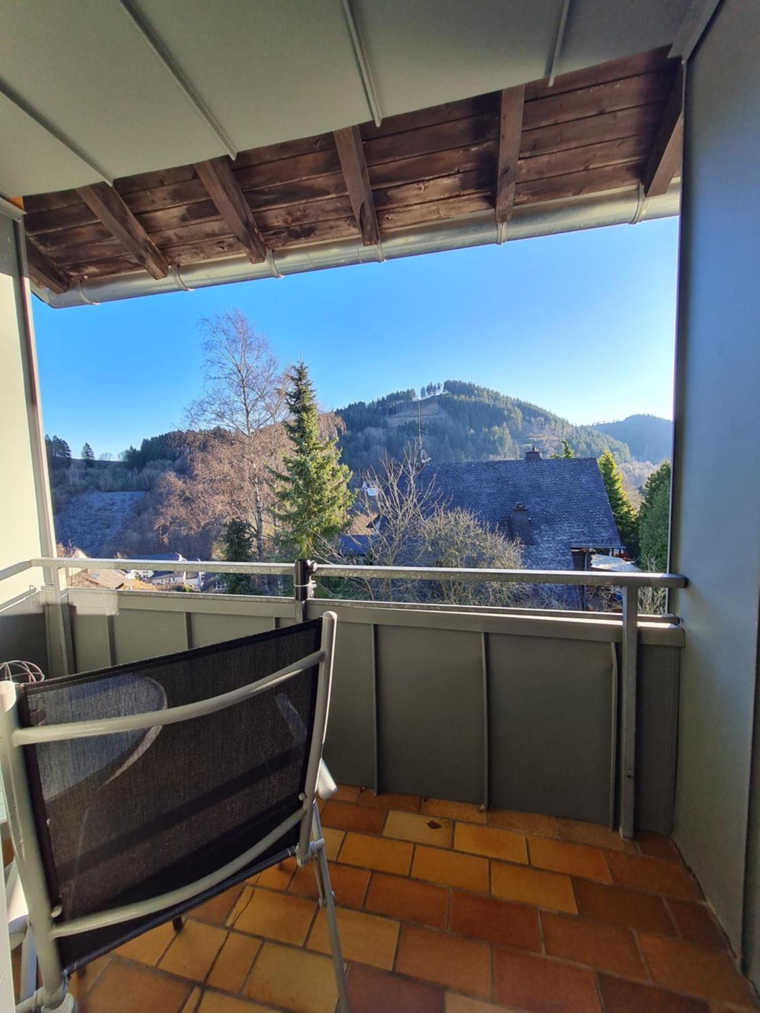 Ferienwohnungen Landhaus Meran Inkl Meinecardplus Willingen  Exteriér fotografie