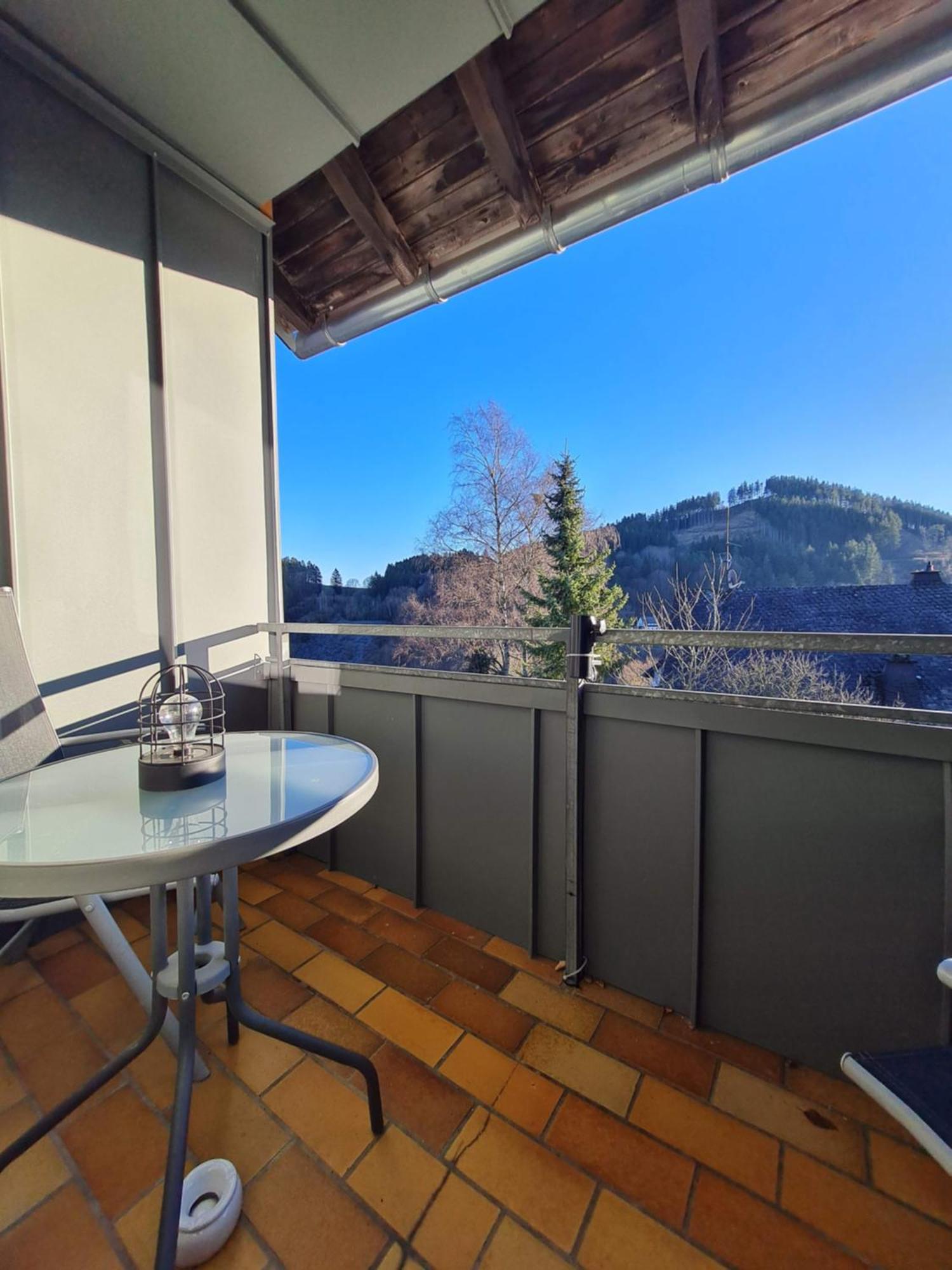 Ferienwohnungen Landhaus Meran Inkl Meinecardplus Willingen  Exteriér fotografie