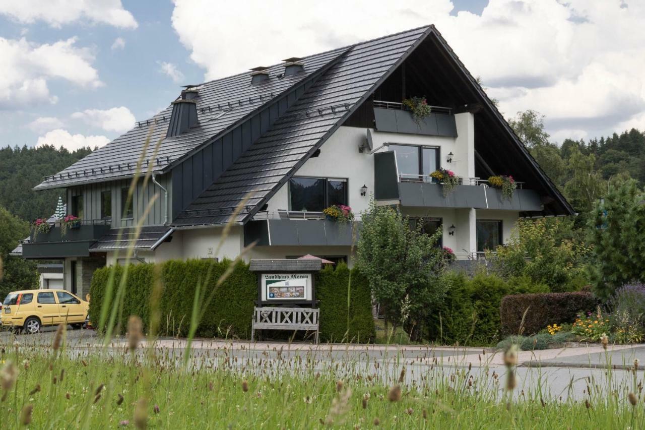 Ferienwohnungen Landhaus Meran Inkl Meinecardplus Willingen  Exteriér fotografie